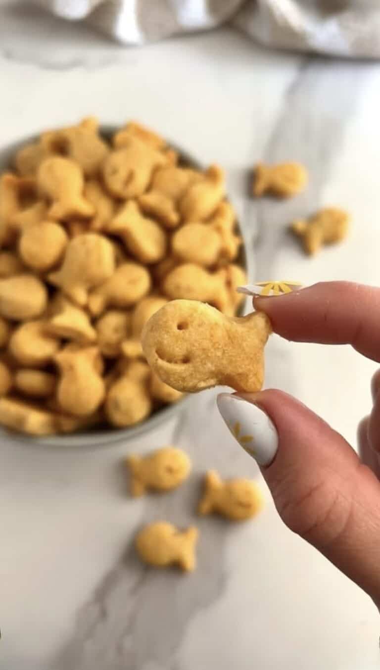 Homemade Pizza Goldfish