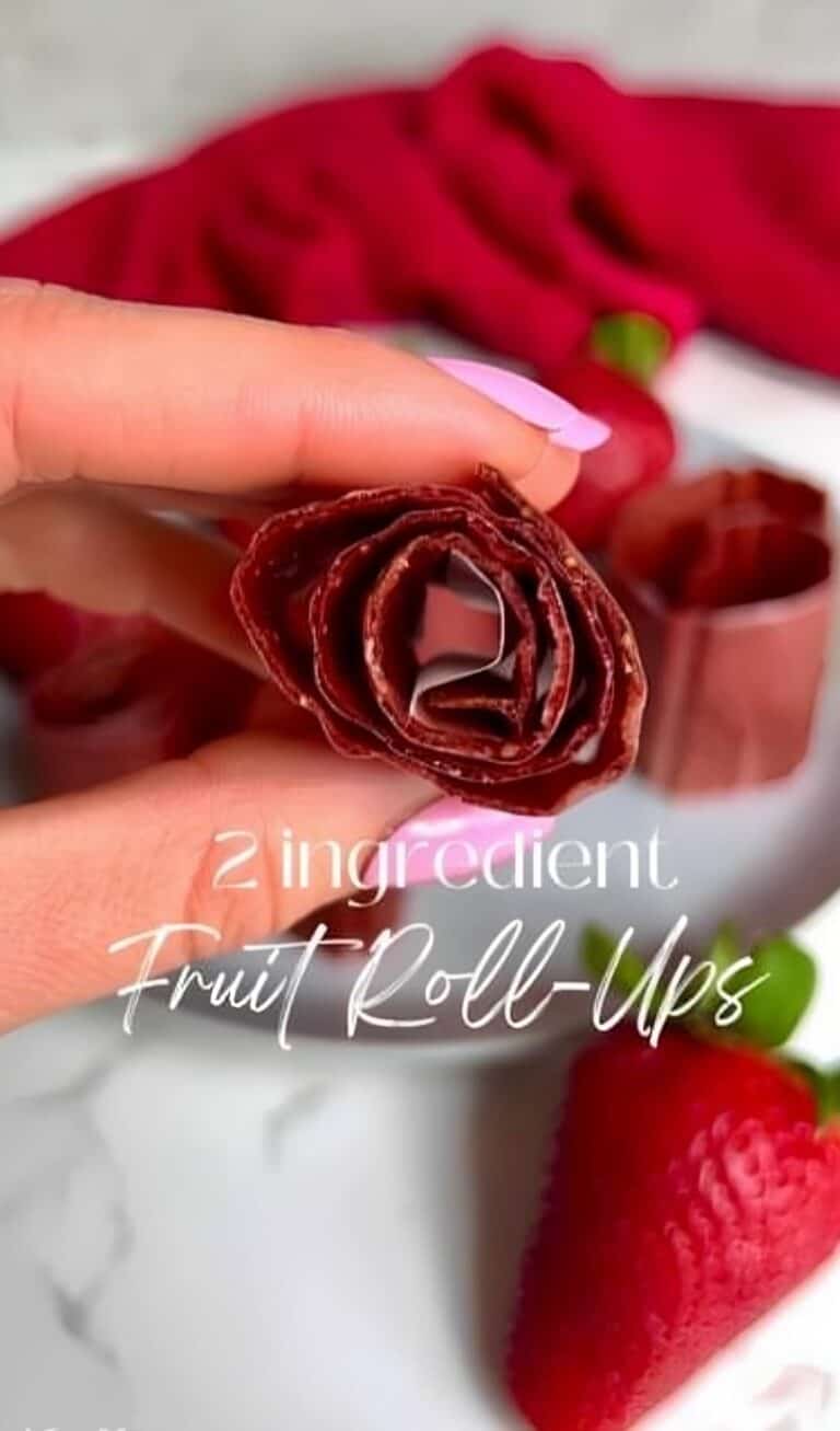 Strawberry Mango Fruit Roll Ups