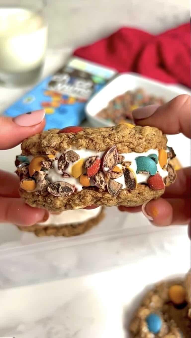 Top 9 Allergen-Free Ice Cream Cookie Sandwiches