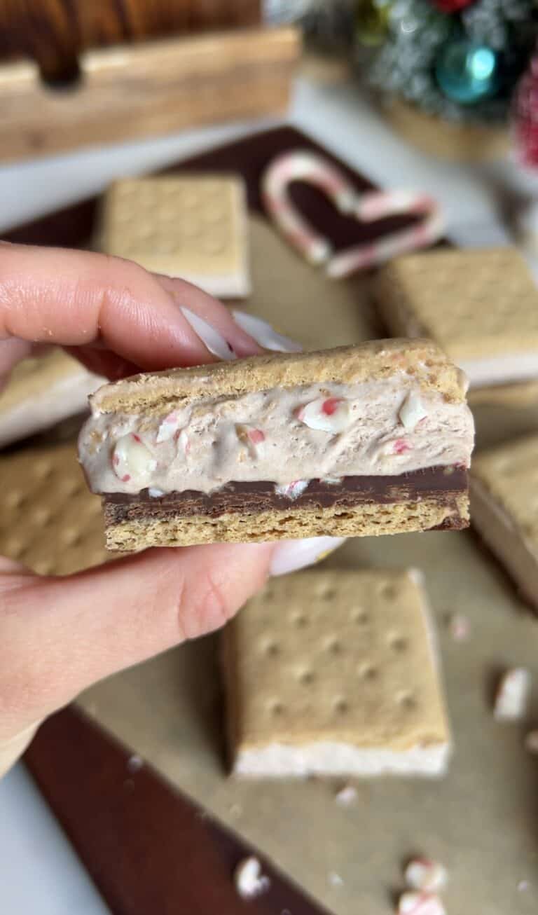 Chocolate Peppermint Frozen S’mores