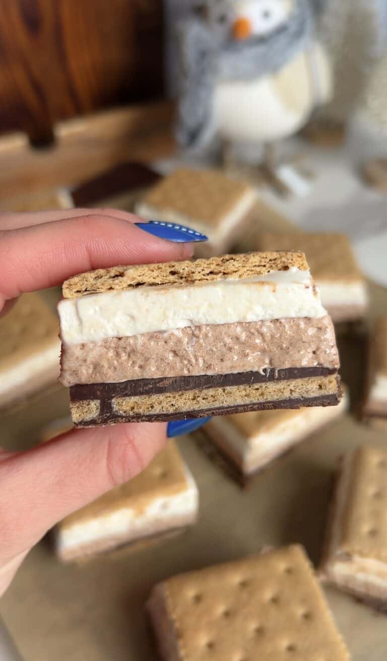 Hot Cocoa Frozen S’mores